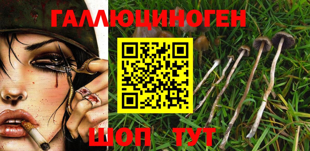 Псилоцибиновые грибы мицелий Саянск
