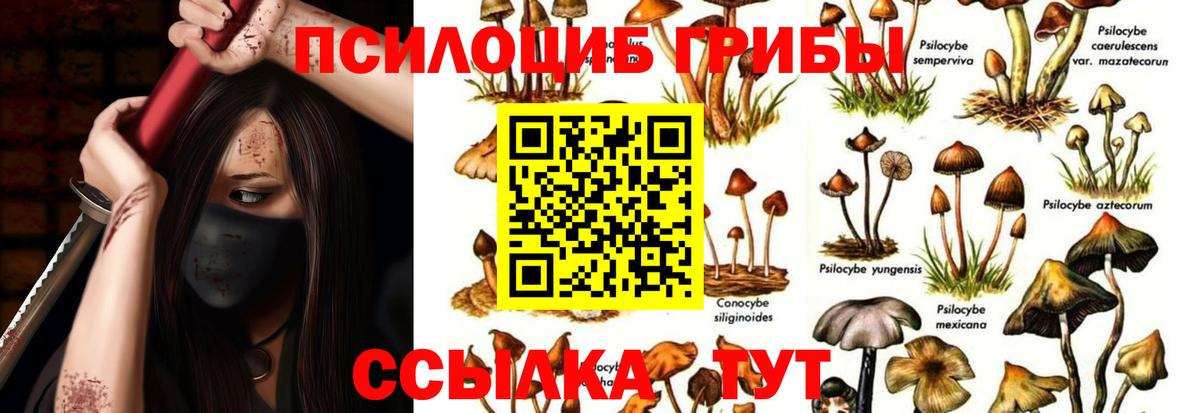 Саянск  Галлюциногенные грибы ЛСД  Галлюциногенные грибы мицелий  Вход с VPN 